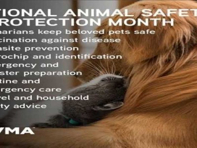 To Preserve Wild Animal